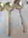 item-41258389=2