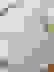 item-44320247=5