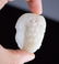 Antique Chinese White Jade - Florida Collection - 5