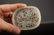 Antique Jade Dragon Openwork, Chinese - 5