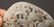 Antique Jade Dragon Openwork, Chinese - 7
