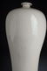 Antique Chinese Mei-Ping Vase - Private Canadian