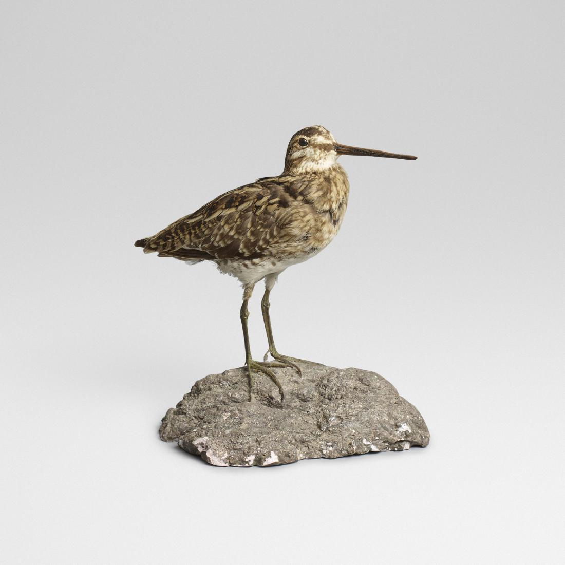 Ole Hoegh Post, Sandpiper (1 of 2)