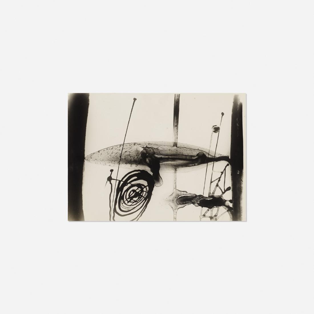 Gyorgy Kepes, Untitled: Gyorgy Kepes Untitled Hungary, c. 1939photogram6.75 h x 9.25 w in (17 x 23 cm) Sold with glass negative and sleeve from the period. Provenance: Gift of the artist to Marga