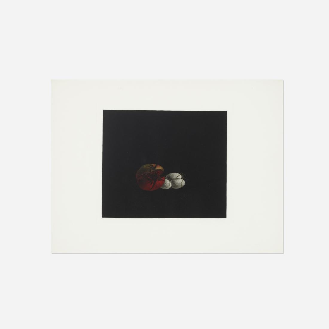 Tomoe Yokoi, Pomegranate and Eggs: Tomoe Yokoi Pomegranate and Eggs c. 1975mezzotint on paper11.75 h × 13.75 w in (30 × 35 cm) Signed, titled and numbered to lower edge '28/100 Pomegranate and Eggs Tomoe Yokoi'. This w