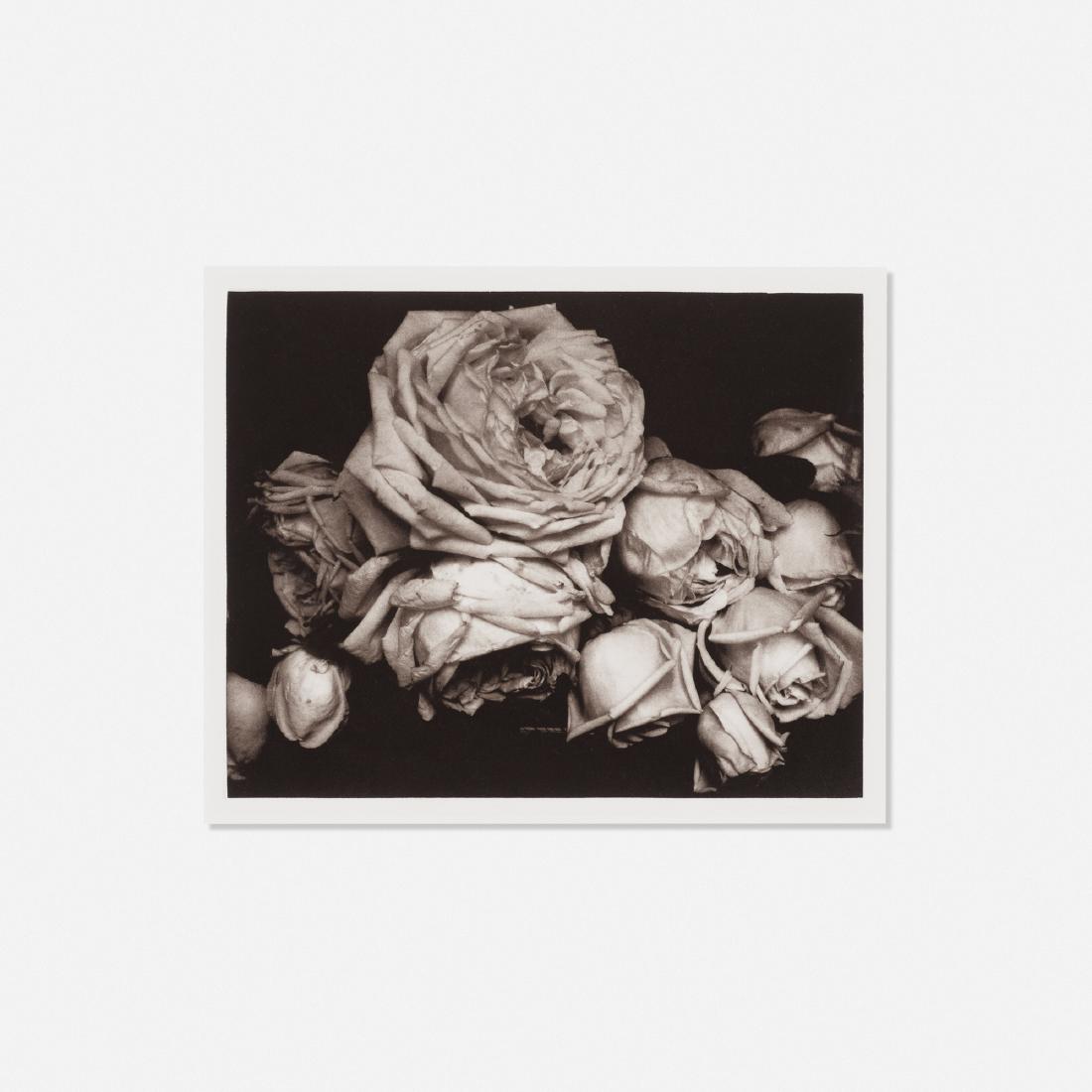 Edward Steichen, Heavy Roses, Voulangis, France: Edward Steichen Heavy Roses, Voulangis, France 1914 / c. 1975photogravure8 h × 10 w in (20 × 25 cm) Sheet measures: 19.5 h x 15.5 w inches Provenance: Col