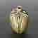 item-65542846=2