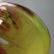 Dale Chihuly, Carnival Macchia for Portland Press - 3