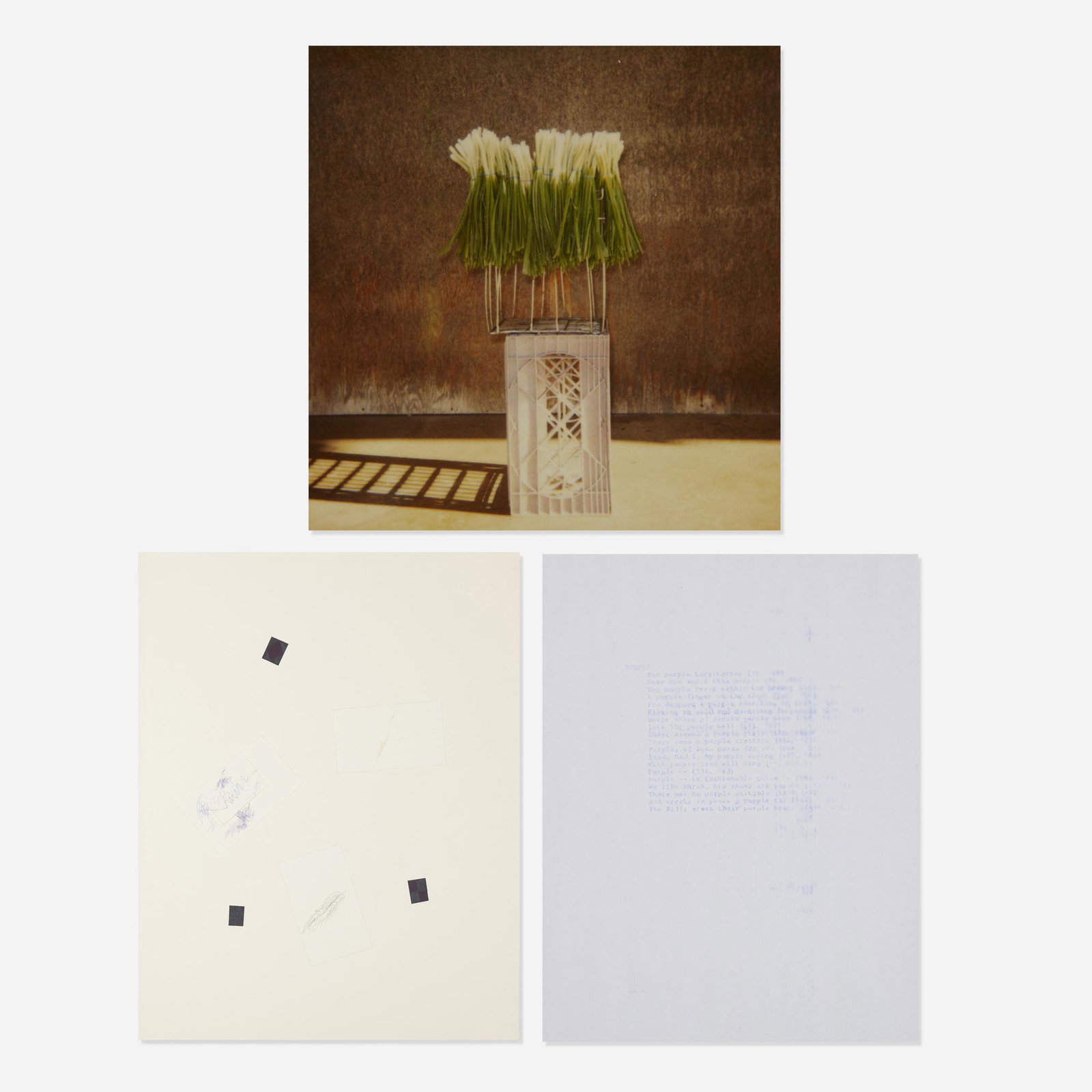 Frances Stark, A Picture of Onion: Frances Stark A Picture of Onion 1999 polaroid mounted on paper, blue text print, mixed media on paper 11 h × 14 w in (28 × 36 cm) Mixed media on paper measures: 22.5 h x 17.5 w inches.