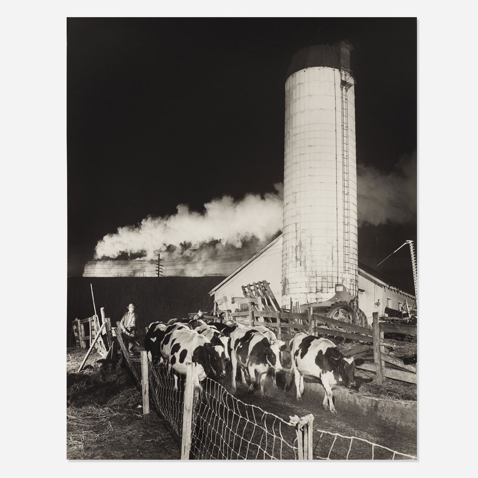 O. Winston Link, Cow 13 on the Ryan Farm… (1 of 2)