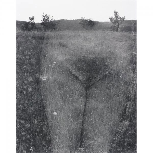 Harry Callahan 1912-1999 Eleanor, Aix-En-Provence: Harry Callahan 1912-1999 Eleanor, Aix-En-Provence gelatin silver print 8.5 h x 6.75 w inches Signed to lower right 'Harry Callahan'.