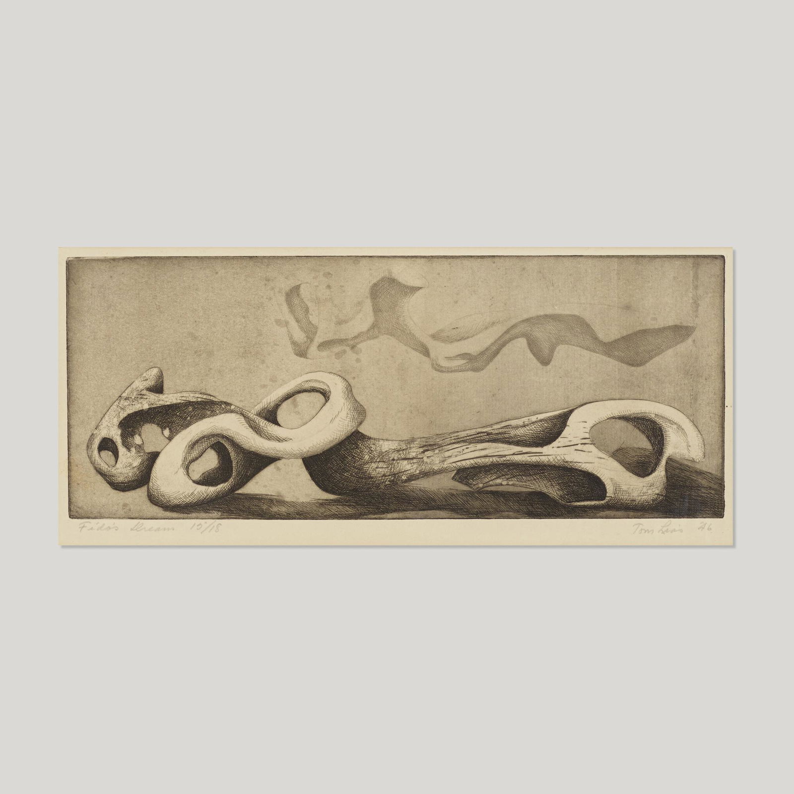 Thomas Lias, Fido's Dream (1 of 3)