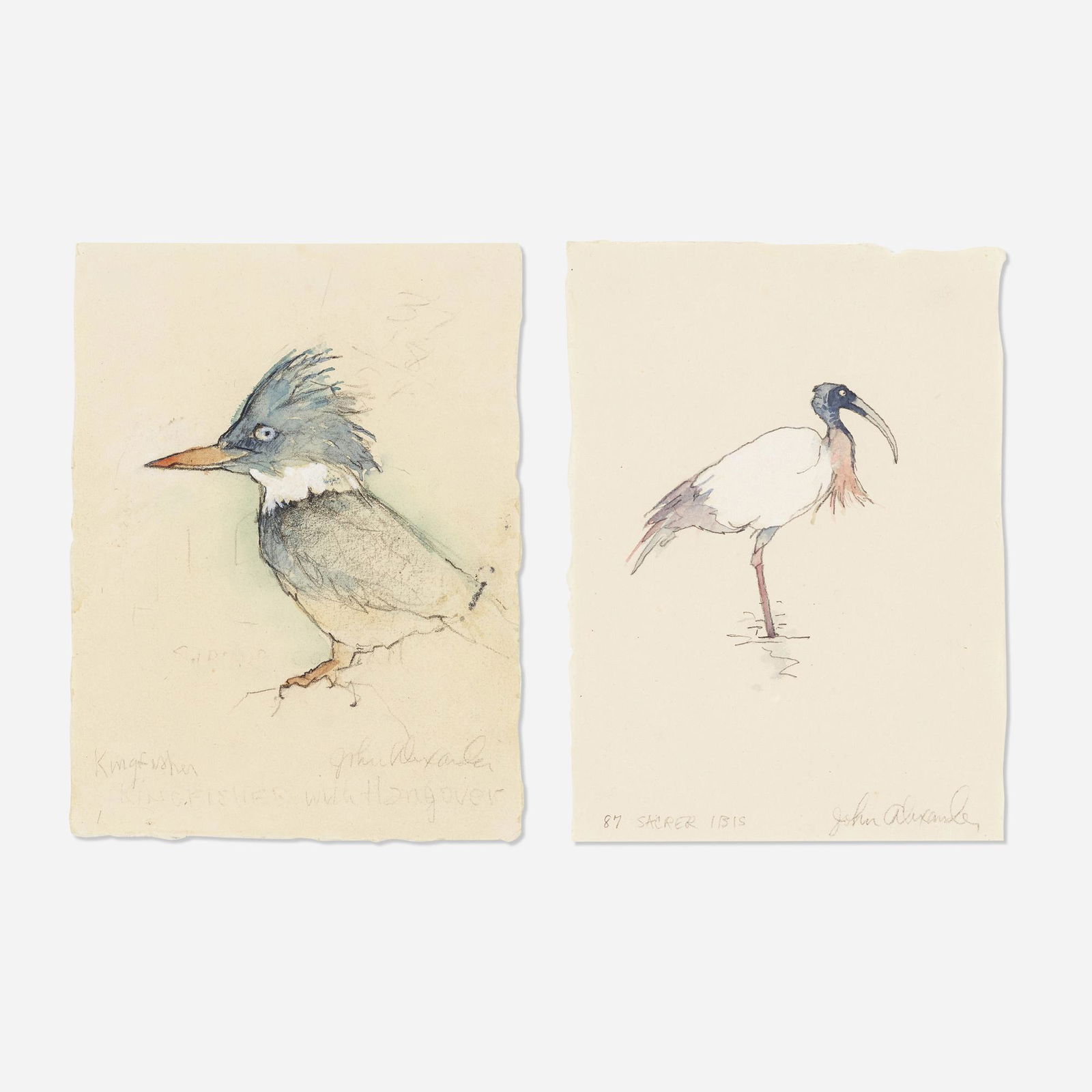 John Alexander, Sacrer Ibis; Kingfisher (two works): John Alexander Sacrer Ibis; Kingfisher (two works) 2000watercolor and graphite on paper ibis: 7.875 h × 5.625 w in (20 × 14 cm) kingfisher: 7.75 h × 5.75 w in (20 × 15 cm)<