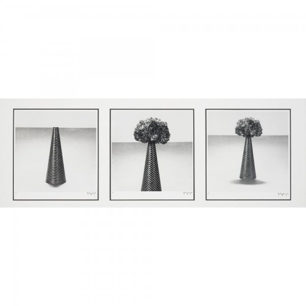 Robert Mapplethorpe Carnations and Striped Vase: Robert Mapplethorpe Carnations and Striped Vase 1984 three gelatin silver prints 15.25 h x 15.25 w inches Each work is signed, numbered and dated to lower edge 'Robert Mapplethorpe 1/10 '84'. Each pri