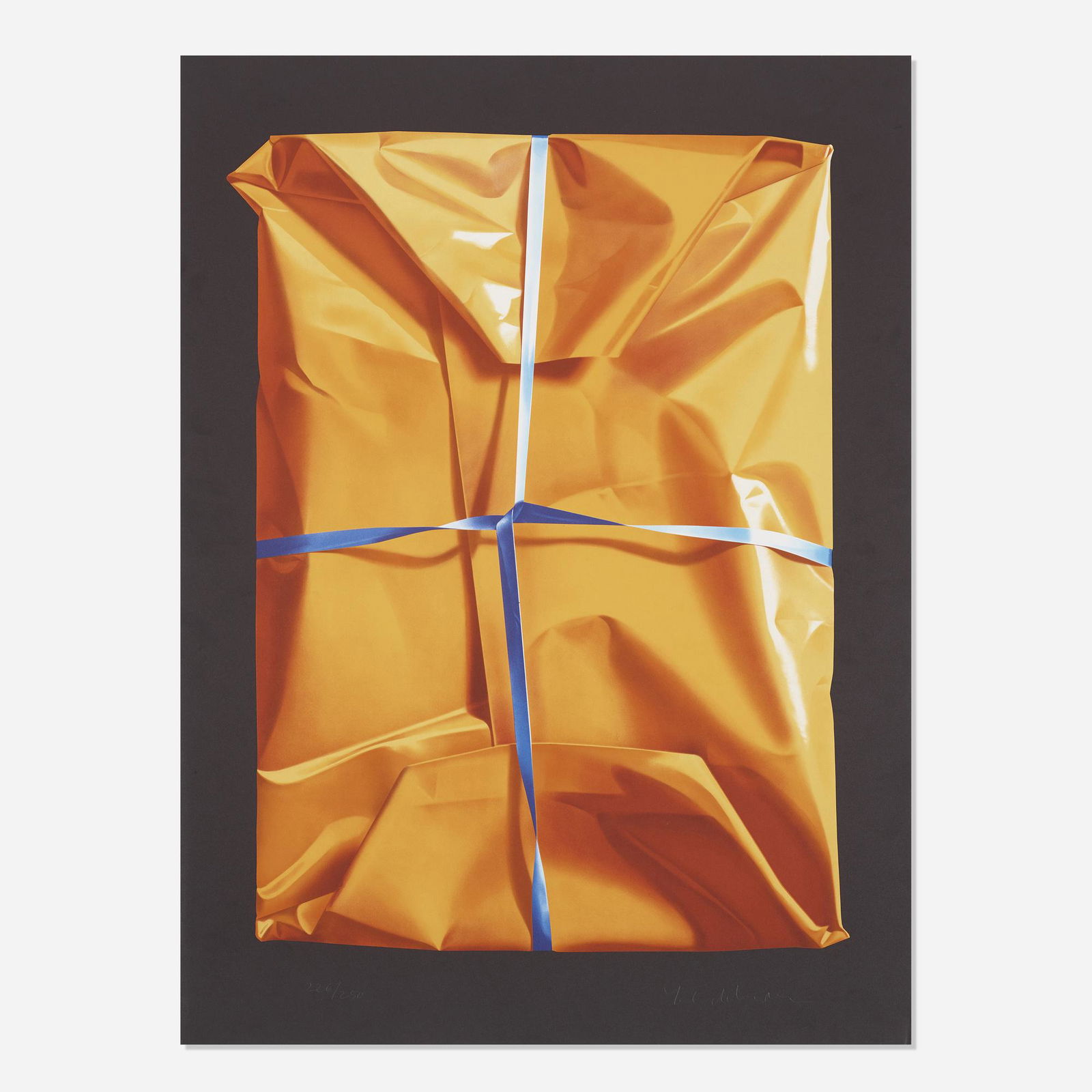 Yrjo Edelmann, Wrapped Van Gough (1 of 2)