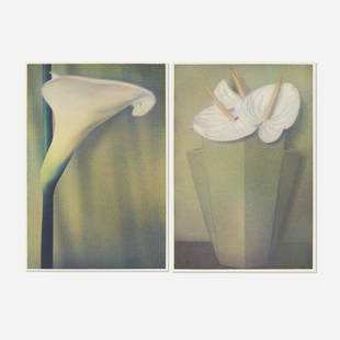 Sheila Metzner, Calla; White Anthuriums, Grey Vase: Sheila Metzner Calla; White Anthuriums, Grey Vase (two works) 1985unique fresson print sight: 16.25 h × 11.25 w in (41 × 29 cm) image: 15.75 h × 10.75 w in (40 × 27 cm)