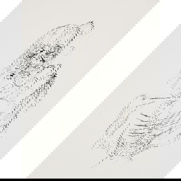 Cameron Jamie Shotgun Blues: Cameron Jamie Shotgun Blues USA, 2005 ink on paper 25.75 h x 19.75 w inches Provenance: Bernier/Eliades Gallery, Athens | Collection of Themistocles and Dare Michos, San Francisco and Berlin