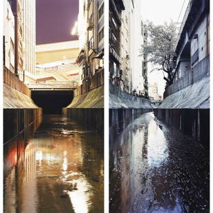 Naoya Hatakeyama River Series #2; River Series #9: Naoya Hatakeyama River Series #2; River Series #9 (two works) 1993-94/2000 c-prints mounted to aluminum 21 h x 10 w inches Signed, titled, numbered and dated to applied artist labels on verso of