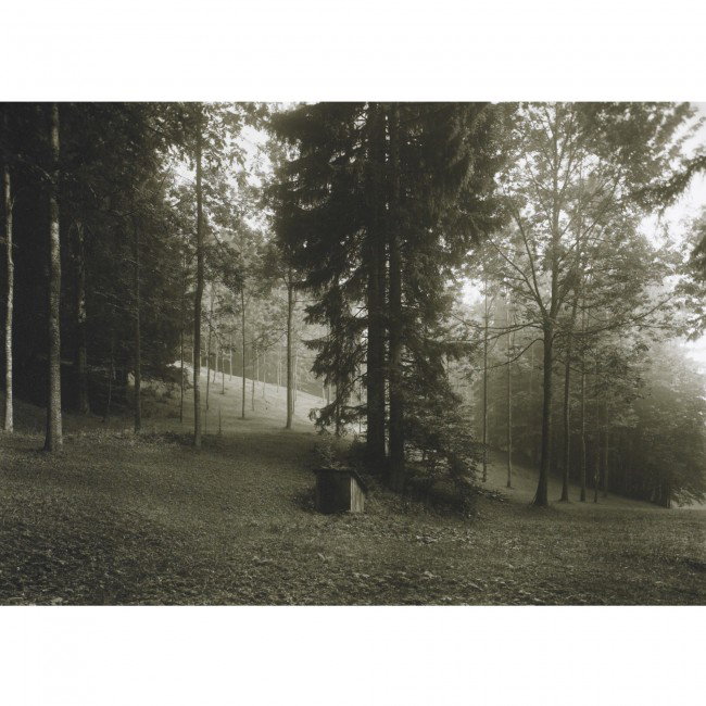 Josef Sudek Untitled (Small building in Woods): Josef Sudek Untitled (Small building in Woods) Czechoslovakia, c. 1950 gelatin silver print 6.5 h x 9 w inches Signed to lower right 'Sudek'.