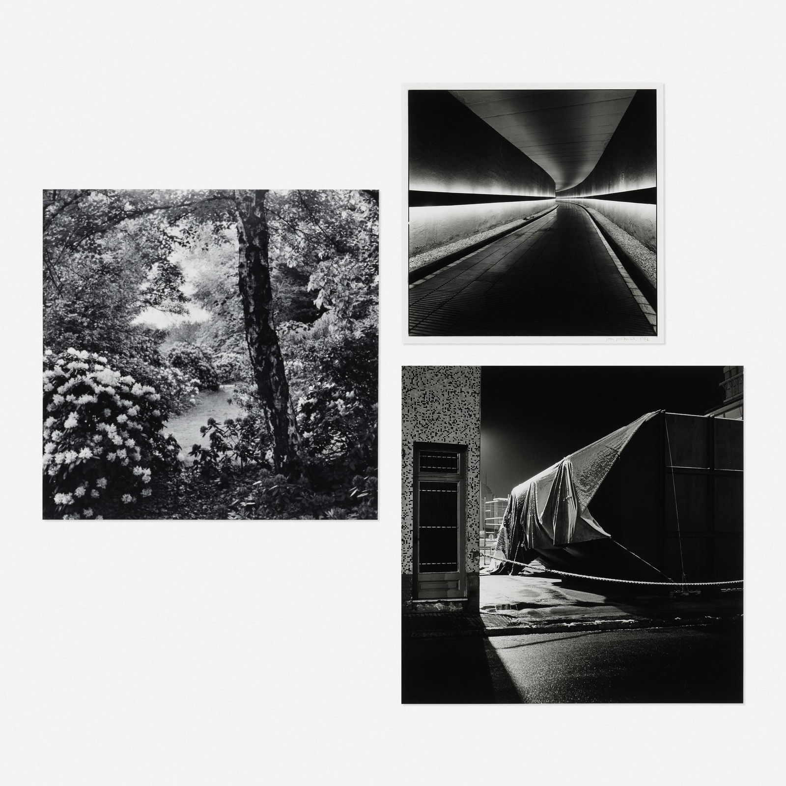 Joan Fontcuberta, three works (1 of 3)