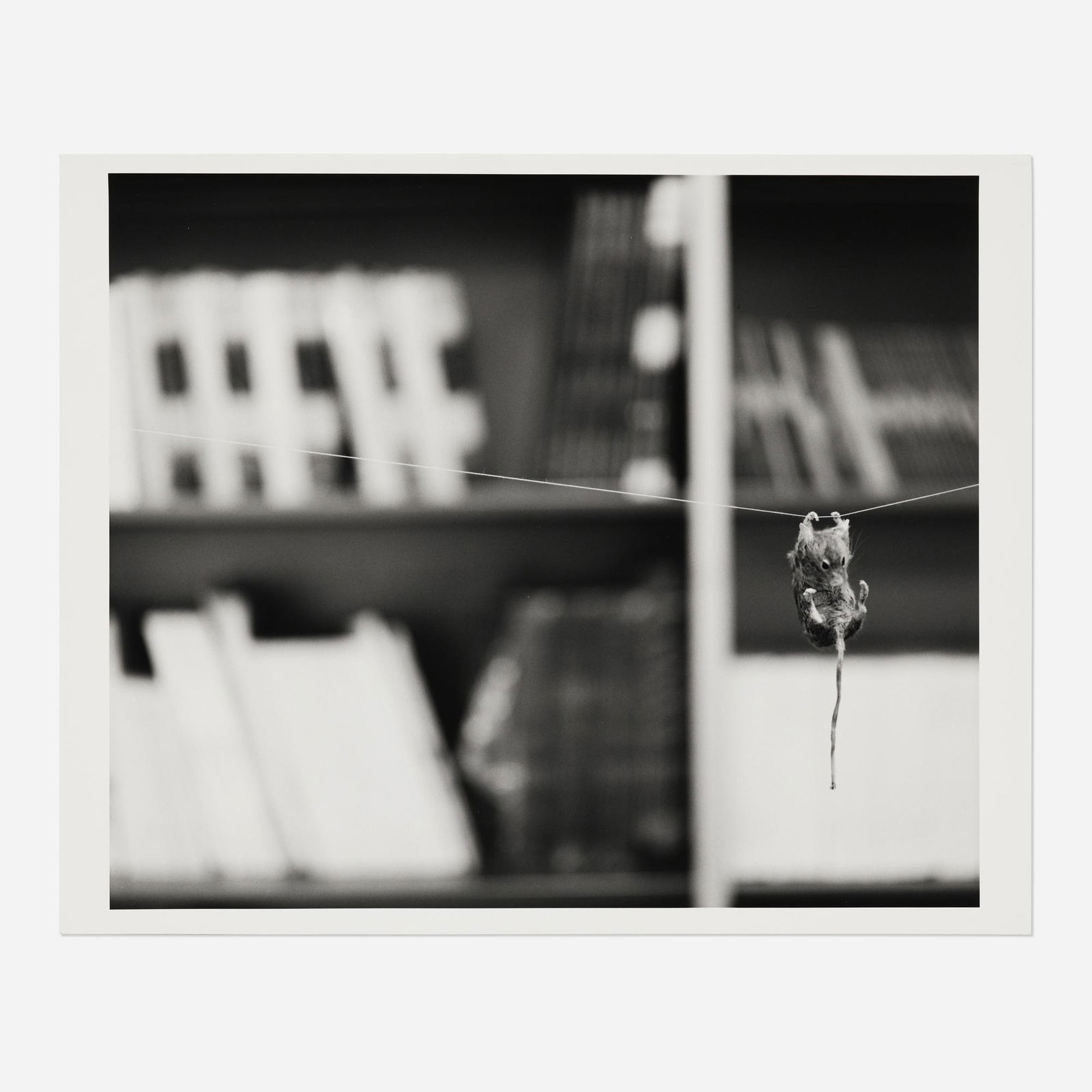 Louise Lawler, This Way I Can't Fight (1 of 3)