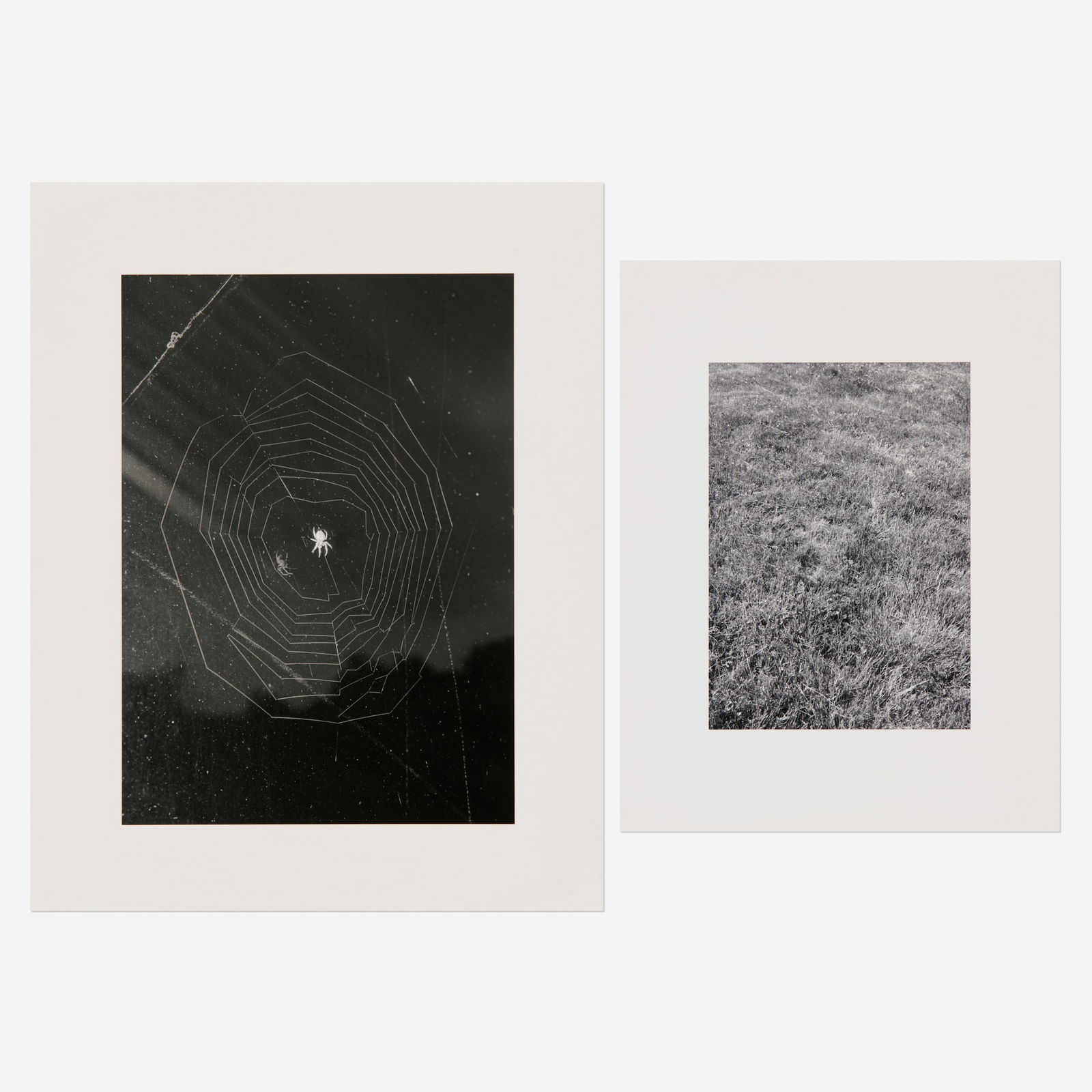 Timothy Briner, Where Walker Evans Once Stood; Spider and Web (two works): Timothy Briner Where Walker Evans Once Stood; Spider and Web (two works) 2012, 2013gelatin silver print sheet: 14 h x 11 w in (36 x 28 cm) sheet: 11 h x 8.5 w in (28 x 22 cm) Signed, titled