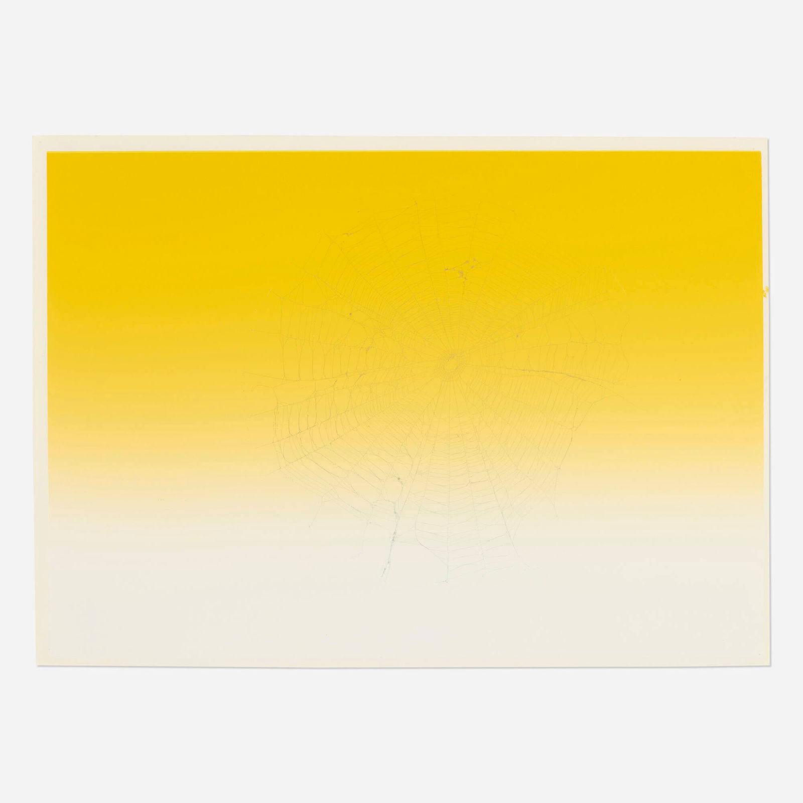 Pae White, Web Sampler (#5) (1 of 4)