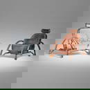 Ron Arad, Moreover chairs, set of two