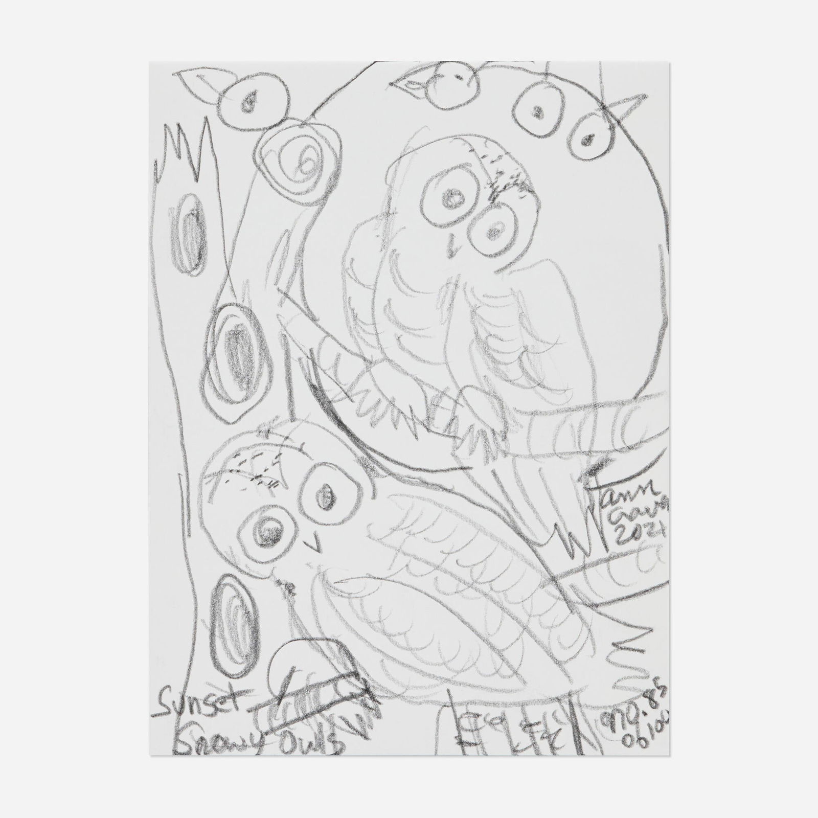 Ann Craven, Study for Sunset Snowy Owls (1 of 3)