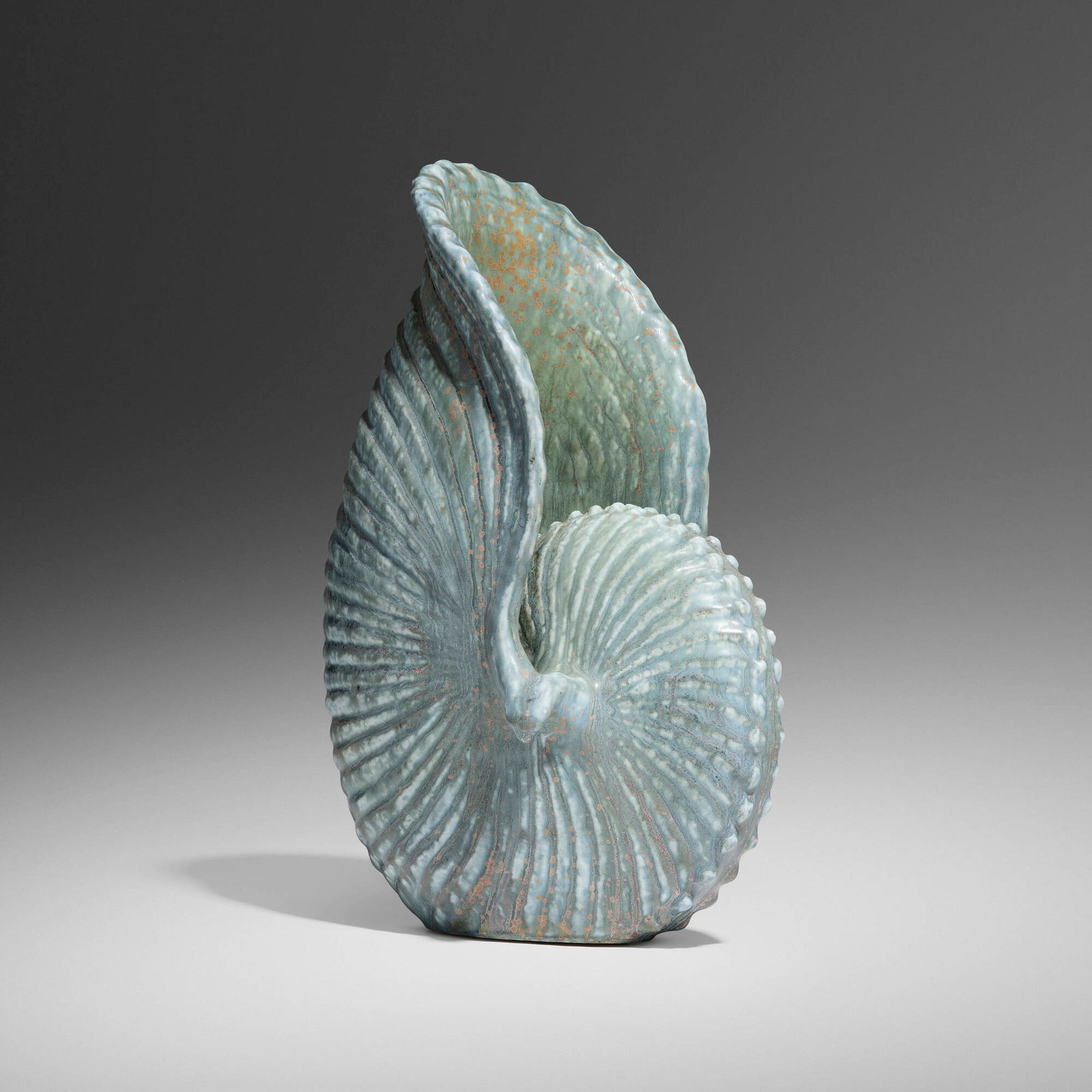 Gunnar Nylund, Nautilus shell (1 of 5)