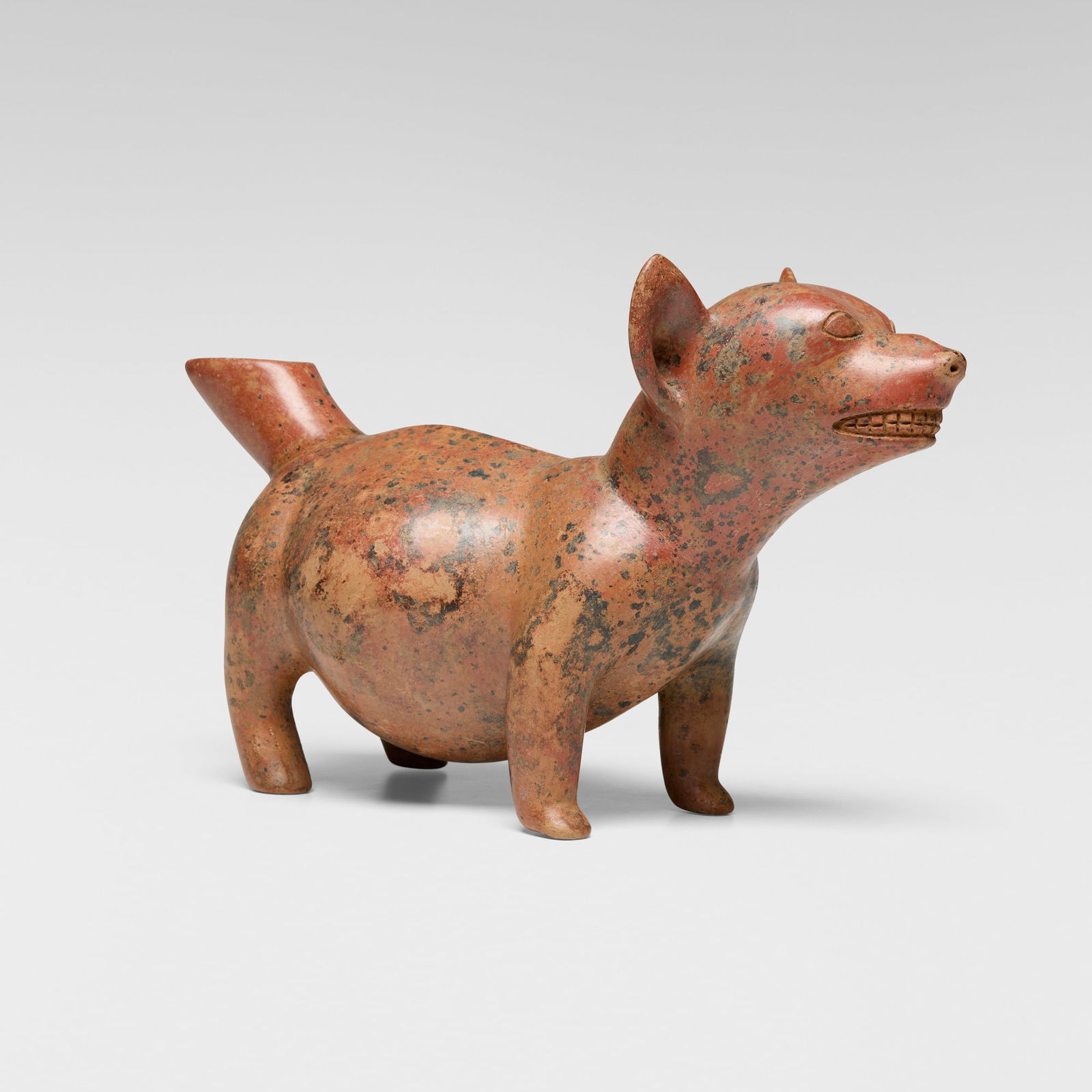 Colima, Standing dog with spouted tail (1 of 5)