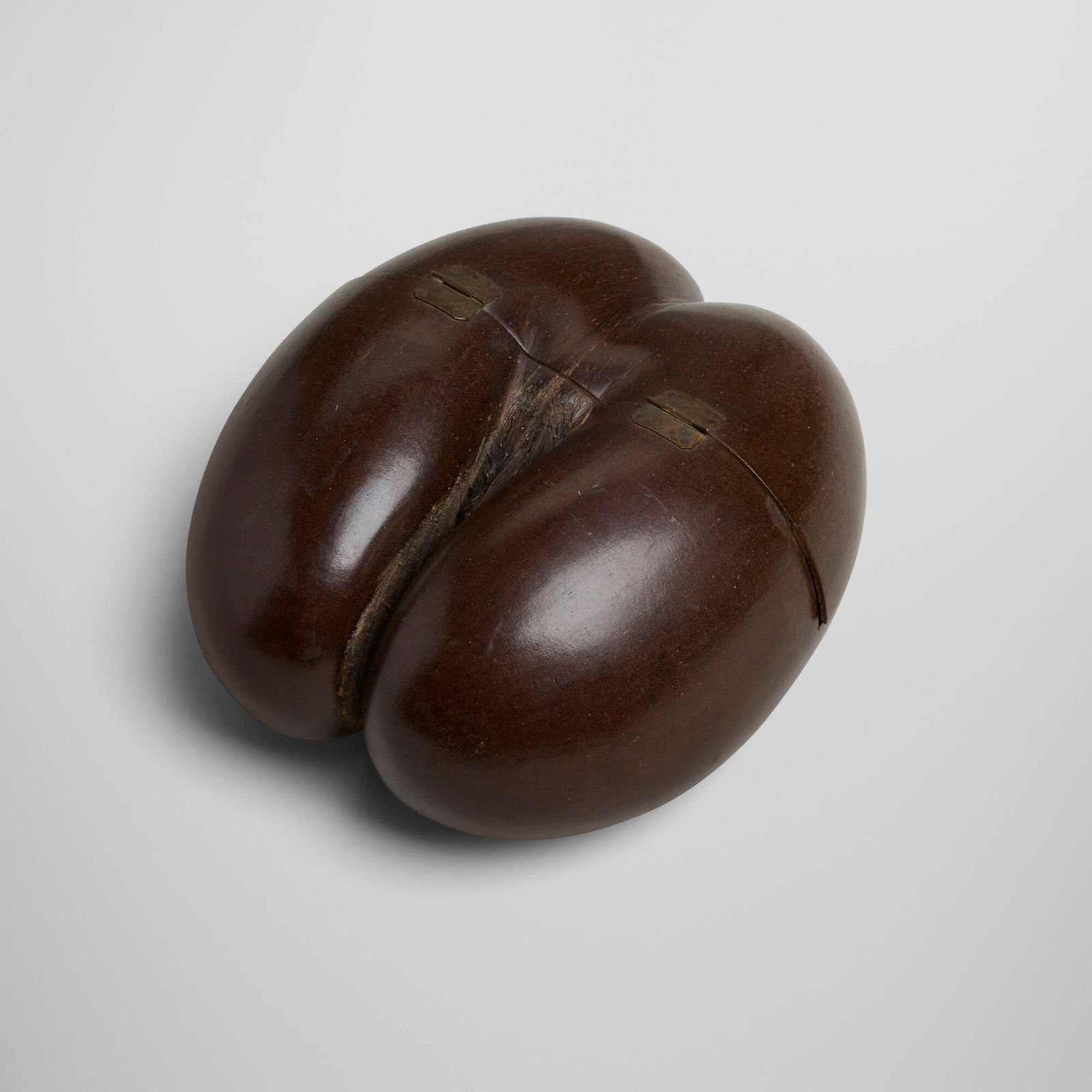 Seychellois, Coco de mer (fertility nut) box: Seychellois Coco de mer (fertility nut) box Republic of Seychelles coco de mer nut, brass 9.5 h x 8.5 w x 4.75 d in (24 x 22 x 12 cm) This work will ship from Chicago, Illinois.