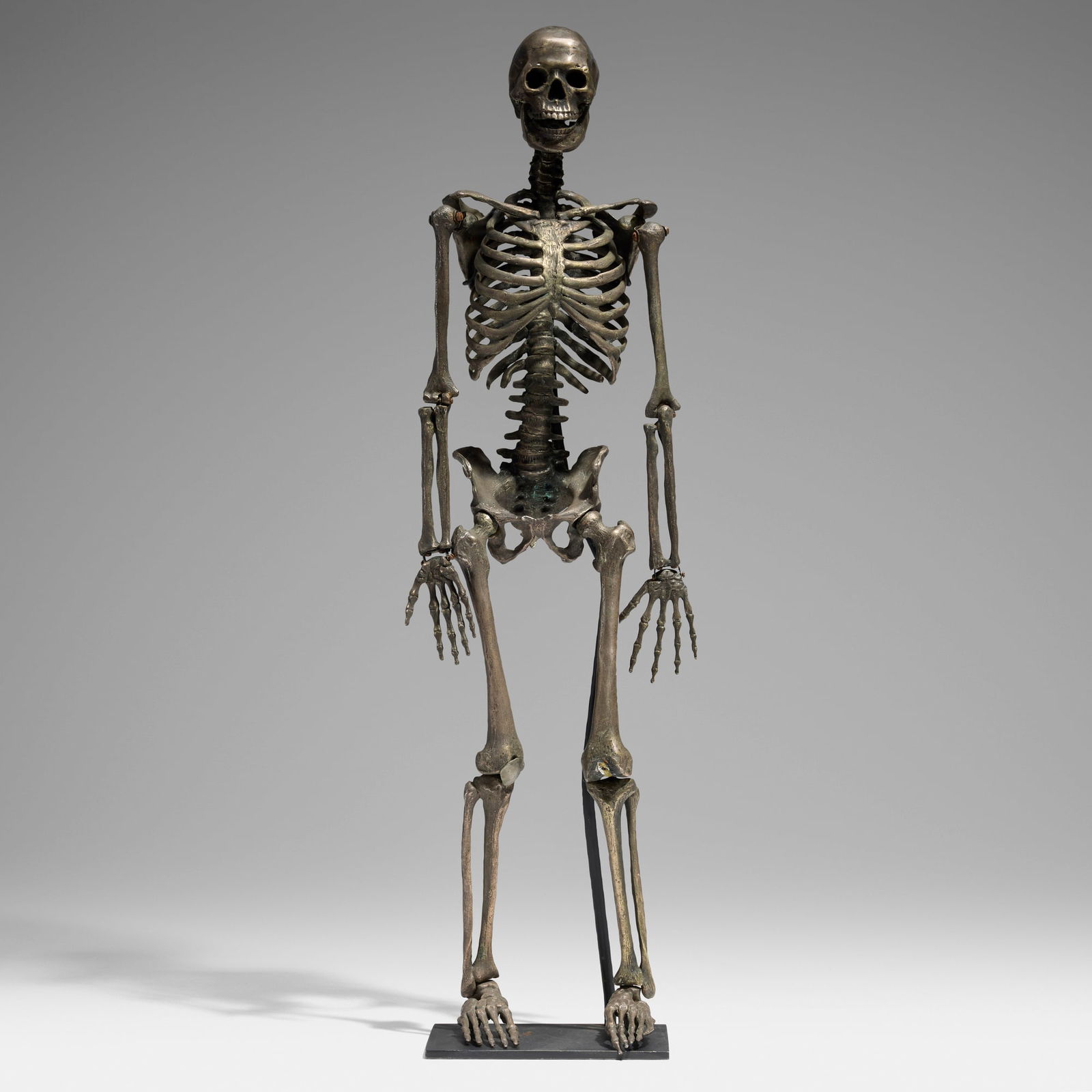Modern, Articulated skeleton (1 of 4)
