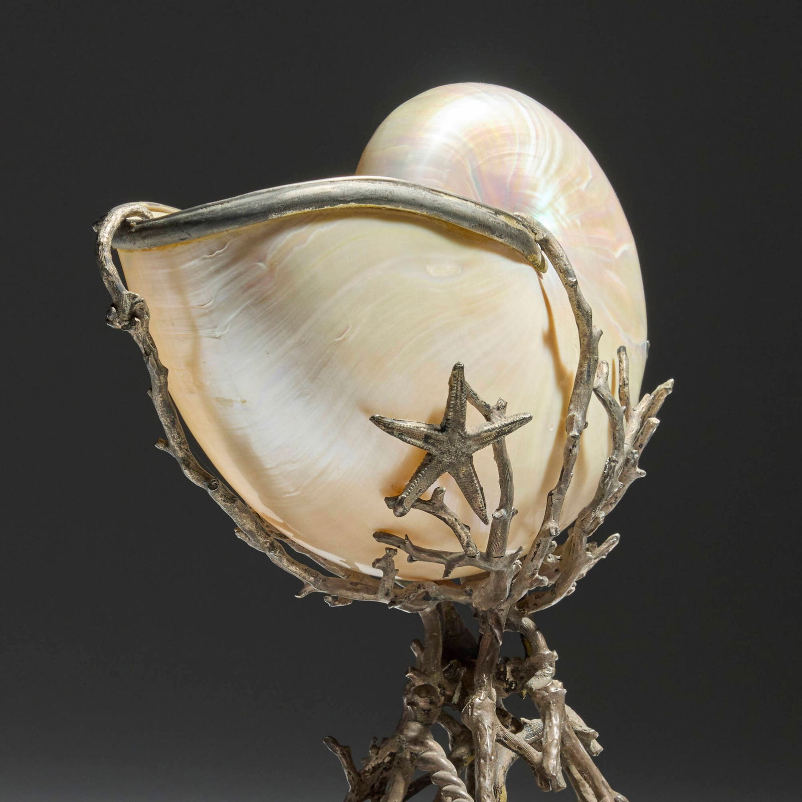 20th Century, Nautilus shell compote - 4