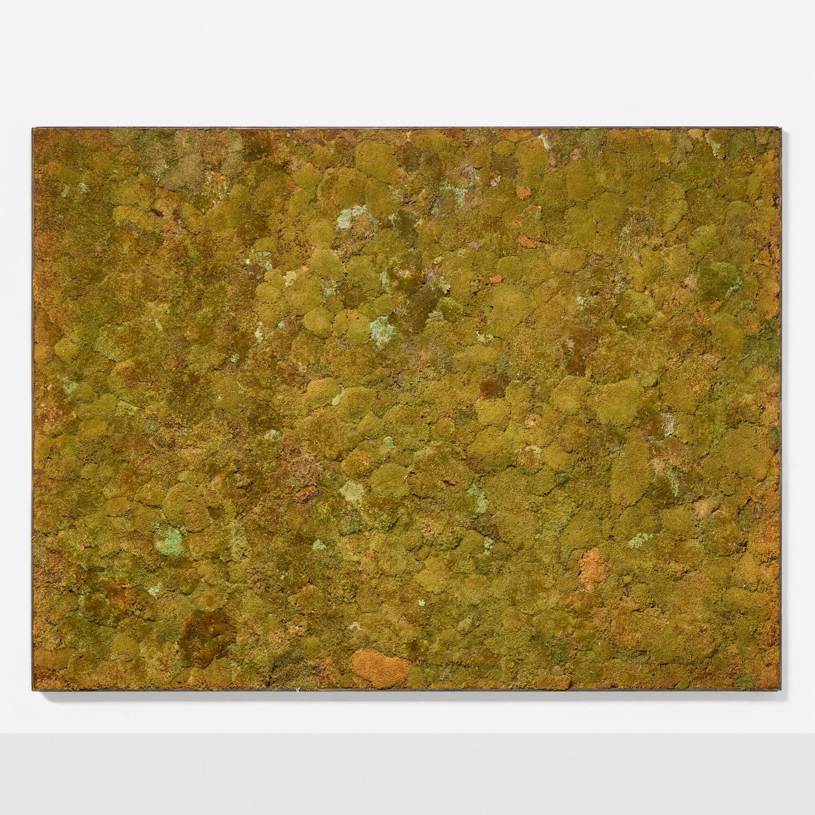 Contemporary, Moss wall: Contemporary Moss wall dried moss on panel 73 h x 97 w x 3 d in (185 x 246 x 8 cm) Provenance: JF Chen, Los Angeles This work will ship from Los Angeles, California.