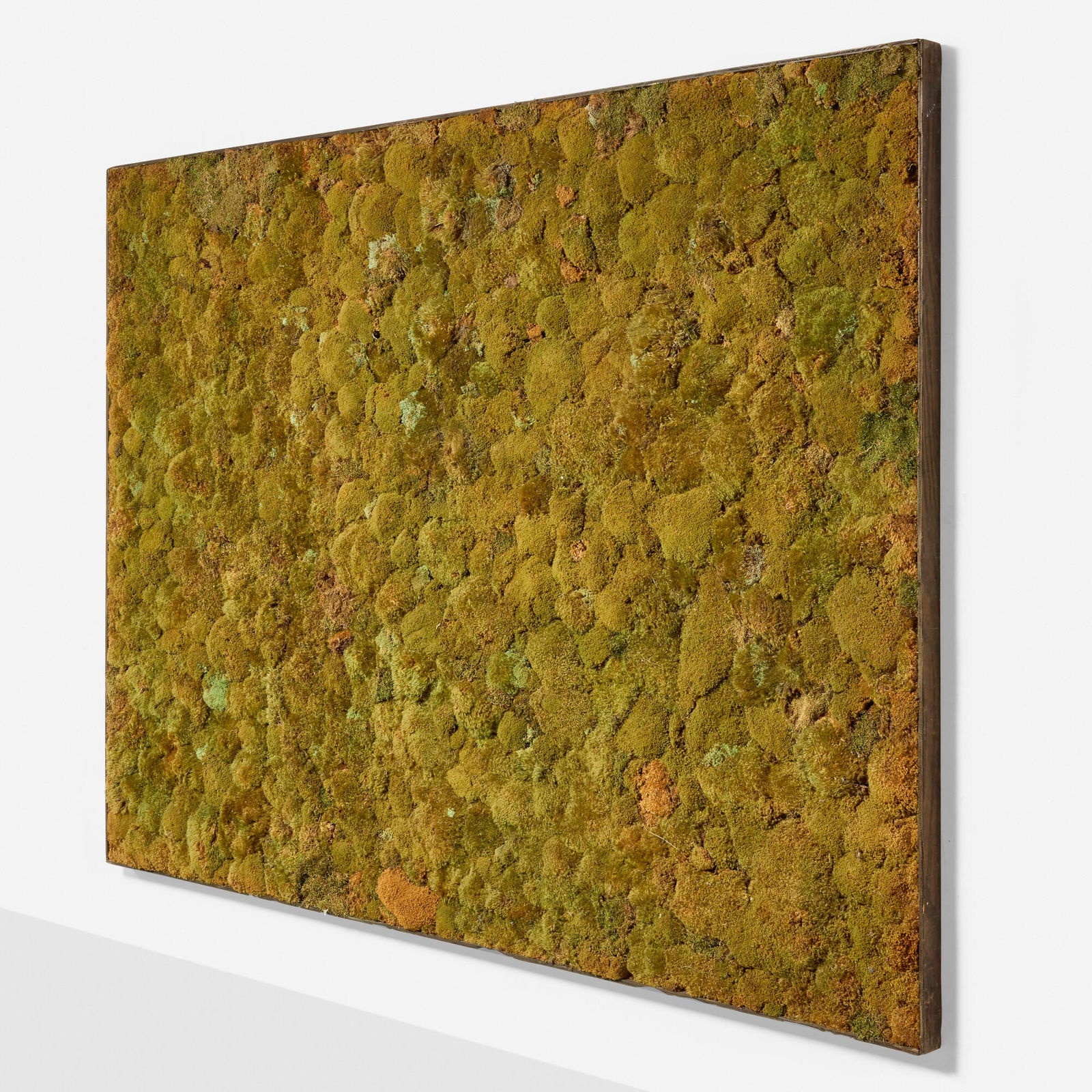 Contemporary, Moss wall - 2