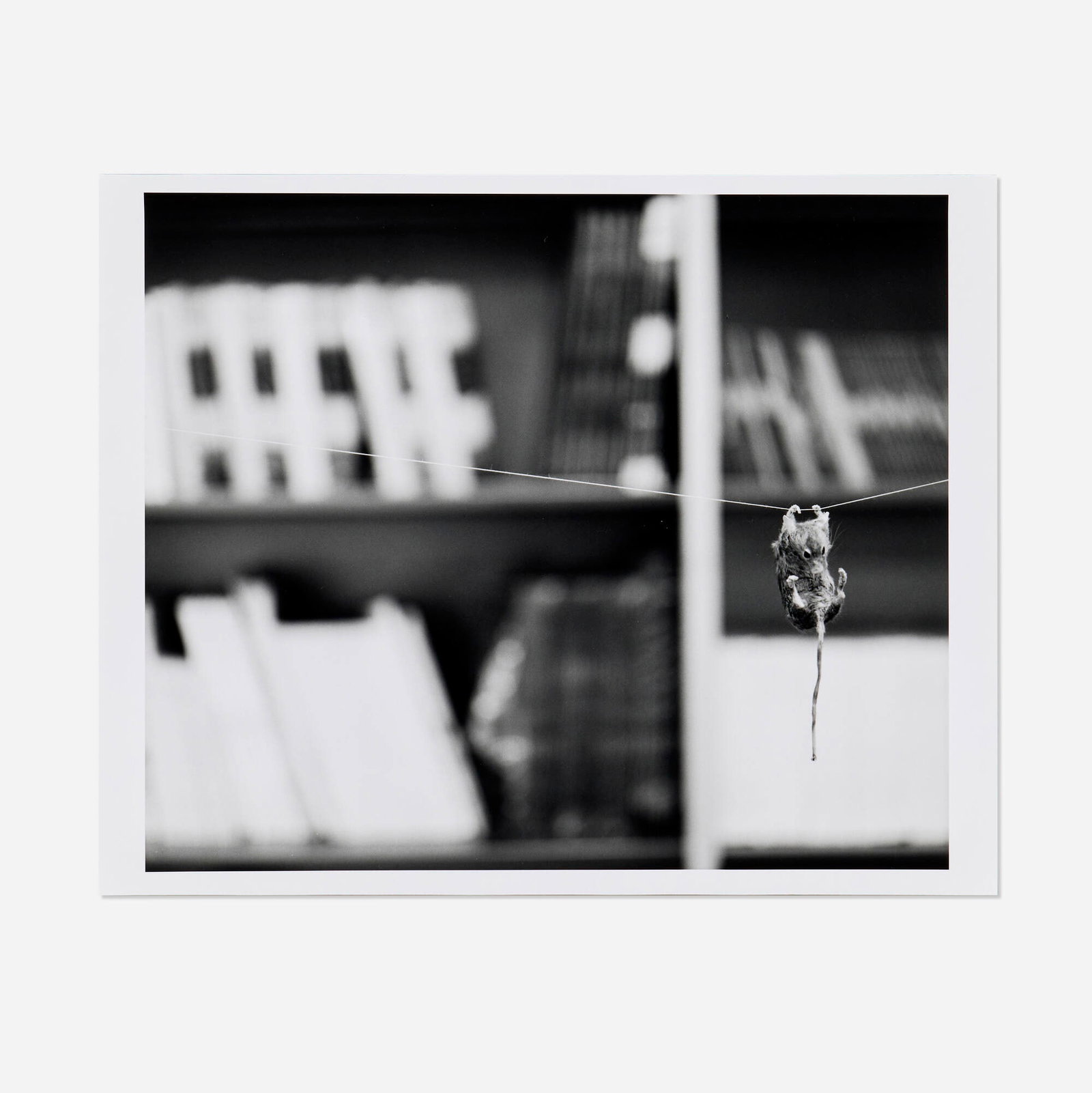 Louise Lawler, This Way I Can't Fight: Louise Lawler This Way I Can't Fight 2002 gelatin silver print image: 7.375 h x 8.875 w in (19 x 23 cm) sheet: 8 h x 10 w in (20 x 25 cm) This work features a close-up of an installation by Maurizio