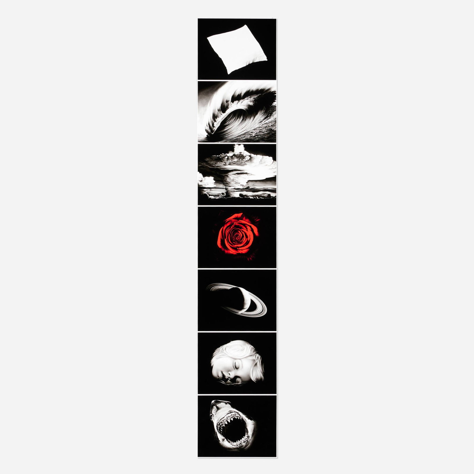 Robert Longo, Essentials (from the Forty Are Better Than One series): Robert Longo Essentials (from the Forty Are Better Than One series) 2009 seven-part leporello, digital pigment print on Hahnemuhle Rag image (each): 9.625 h x 12.375 w in (24 x 31 cm) overall: 69.75