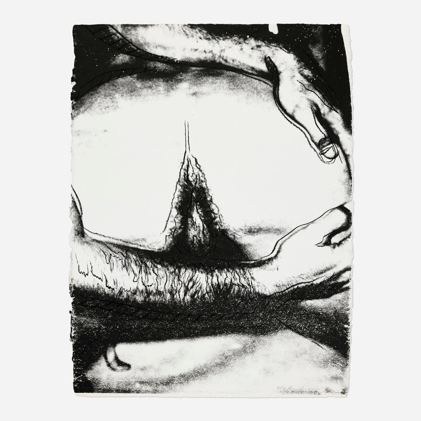 Andy Warhol, Untitled (from the Sex Parts series): Andy Warhol Untitled (from the Sex Parts series) 1978 screenprint on HMP 31.5 h x 24 w in (80 x 61 cm) Signed and numbered to lower right 'A.P. 2/5 Andy Warhol'. This work is artist&