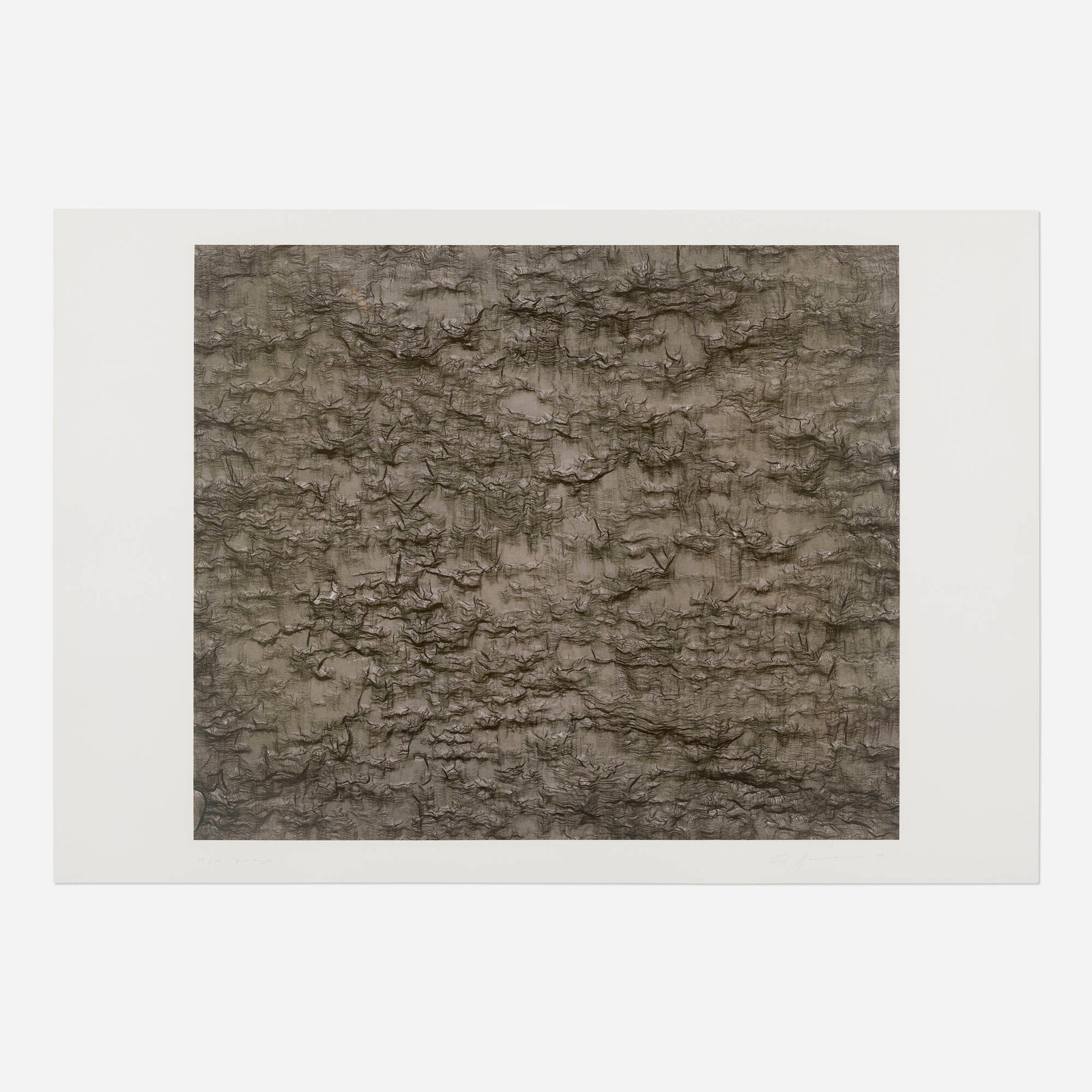 Ann Hamilton, gauge (brown): Ann Hamilton gauge (brown) 2008 lithograph and screenprint in colors image: 33.75 h x 40 w in (86 x 102 cm) sheet: 38.25 h x 56 w in (97 x 142 cm) Signed, titled, dated, and numbered to lower edge