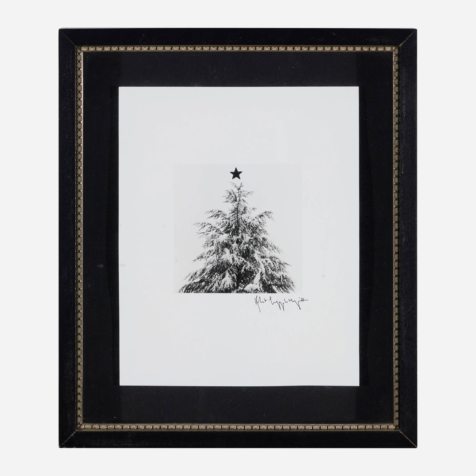 Robert Mapplethorpe, Christmas Tree - 2