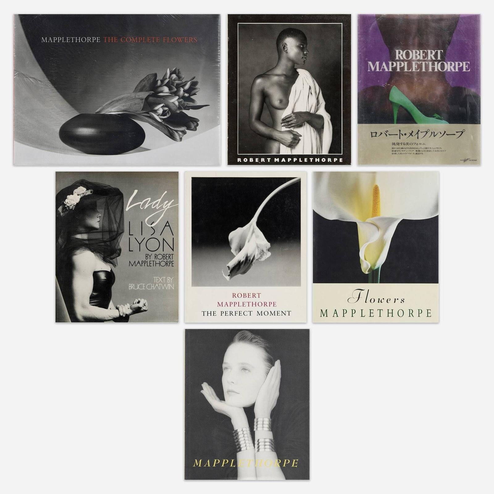 Robert Mapplethorpe monographs, seven (1 of 1)