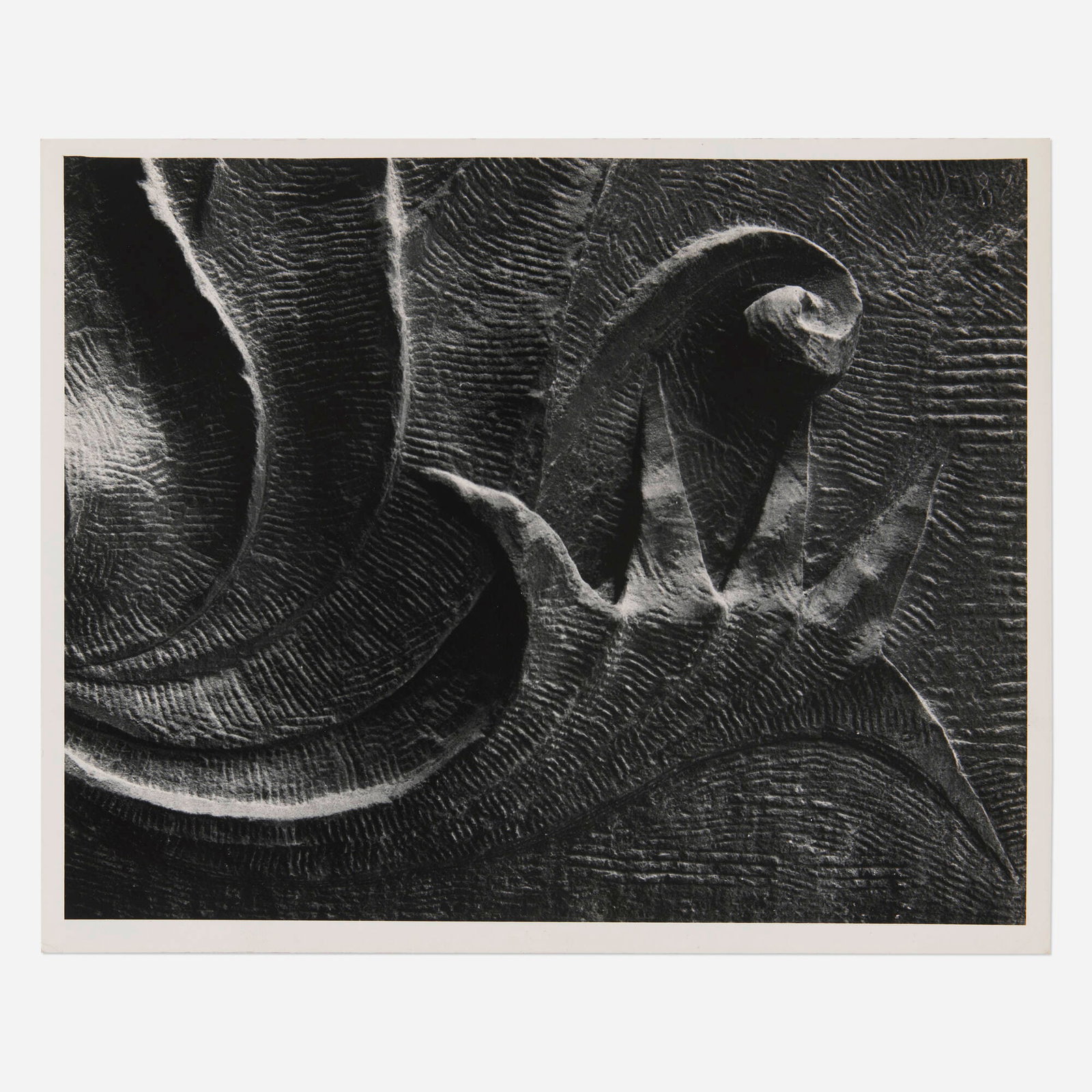 Aaron Siskind and students of the Institute of Design, Chicago, Walker Warehouse, 200-214 South: Aaron Siskind and students of the Institute of Design, Chicago Walker Warehouse, 200-214 South Market St., Chicago (from the Louis H. Sullivan project) c. 1952 gelatin silver print image: 7.5 h x 9.5 