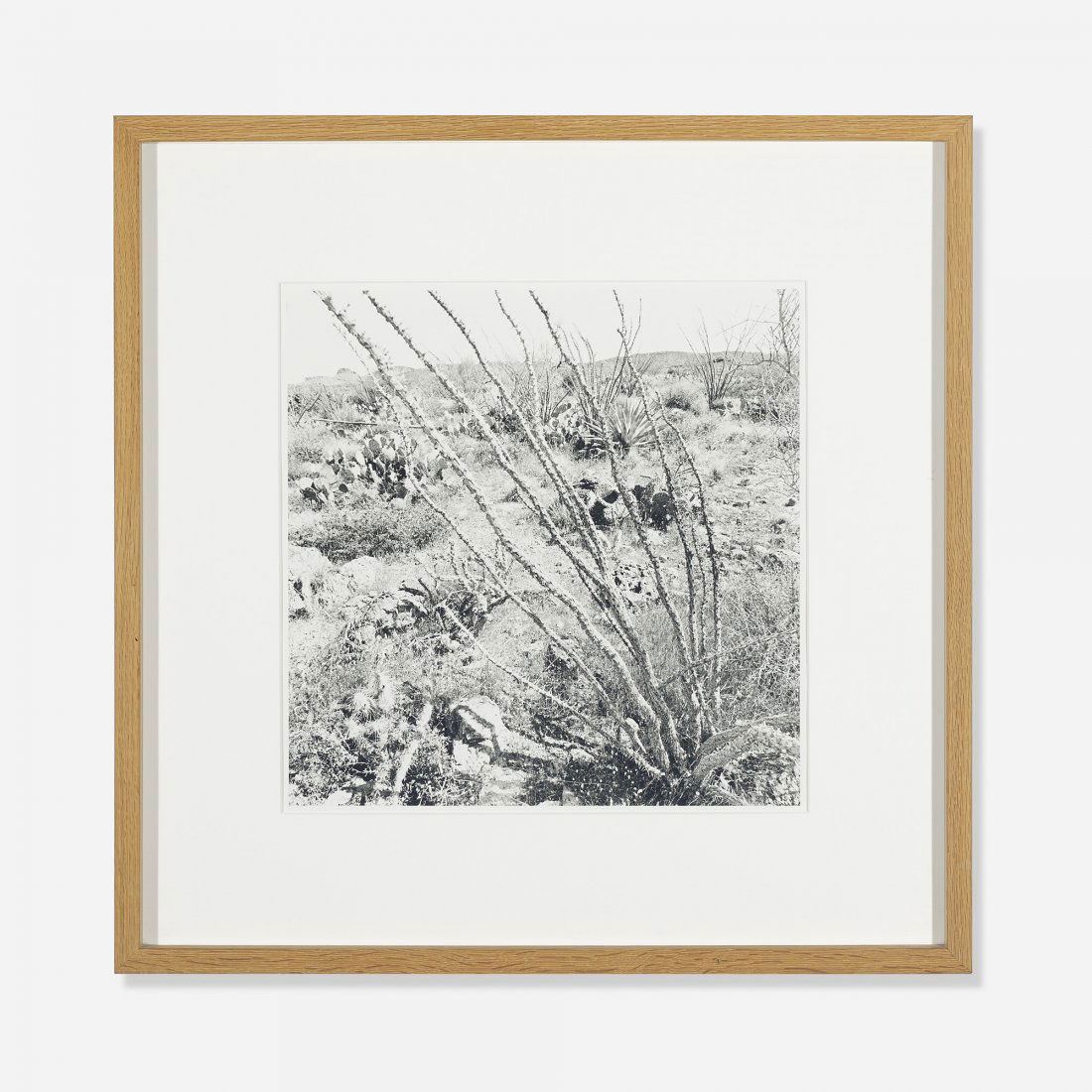 Lee Friedlander Sonora, Arizona: Lee Friedlander Sonora, Arizona USA, 1995 gelatin silver print 14.75 h x 14.5 w inches Signed, titled and dated to reverse 'Lee Friedlander Sonora 1995' with stamped copyright and artist's studio mark