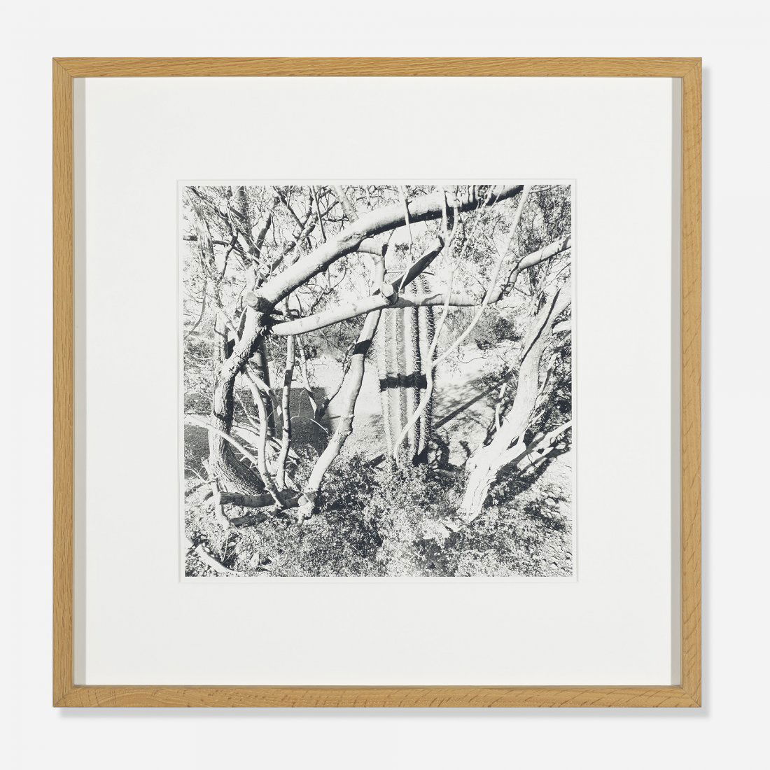 Lee Friedlander Sonora, Arizona: Lee Friedlander Sonora, Arizona USA, 1994 gelatin silver print 14.75 h x 14.75 w inches Signed, titled and dated to reverse 'Lee Friedlander Sonora 1994' with stamped copyright and artist's studio mar