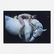 Nan Goldin Kate Moss on a White Horse…