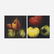 Donald Sultan Apples and Red Pears