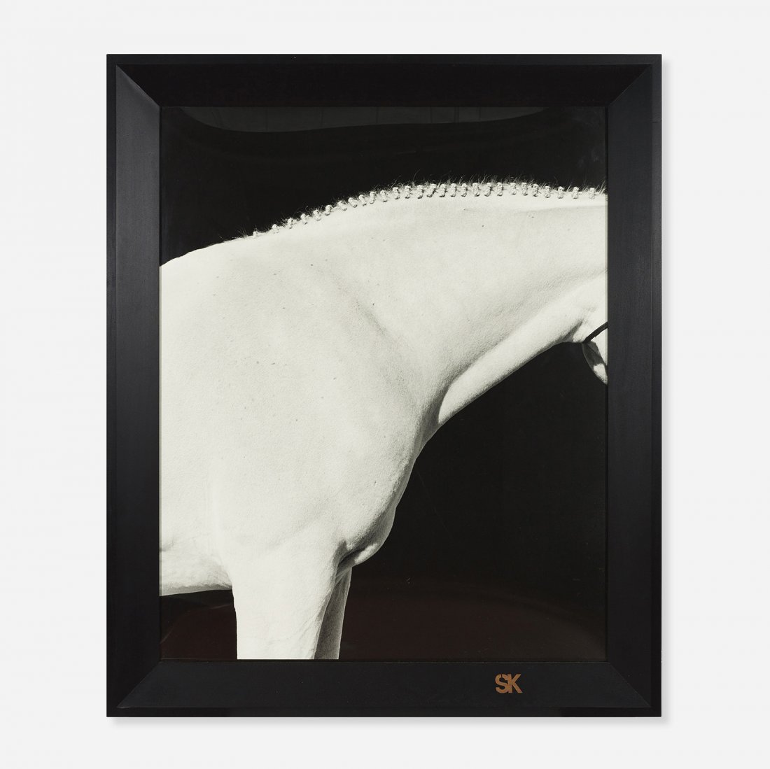 Steven Klein Cool Blue (1 of 1)