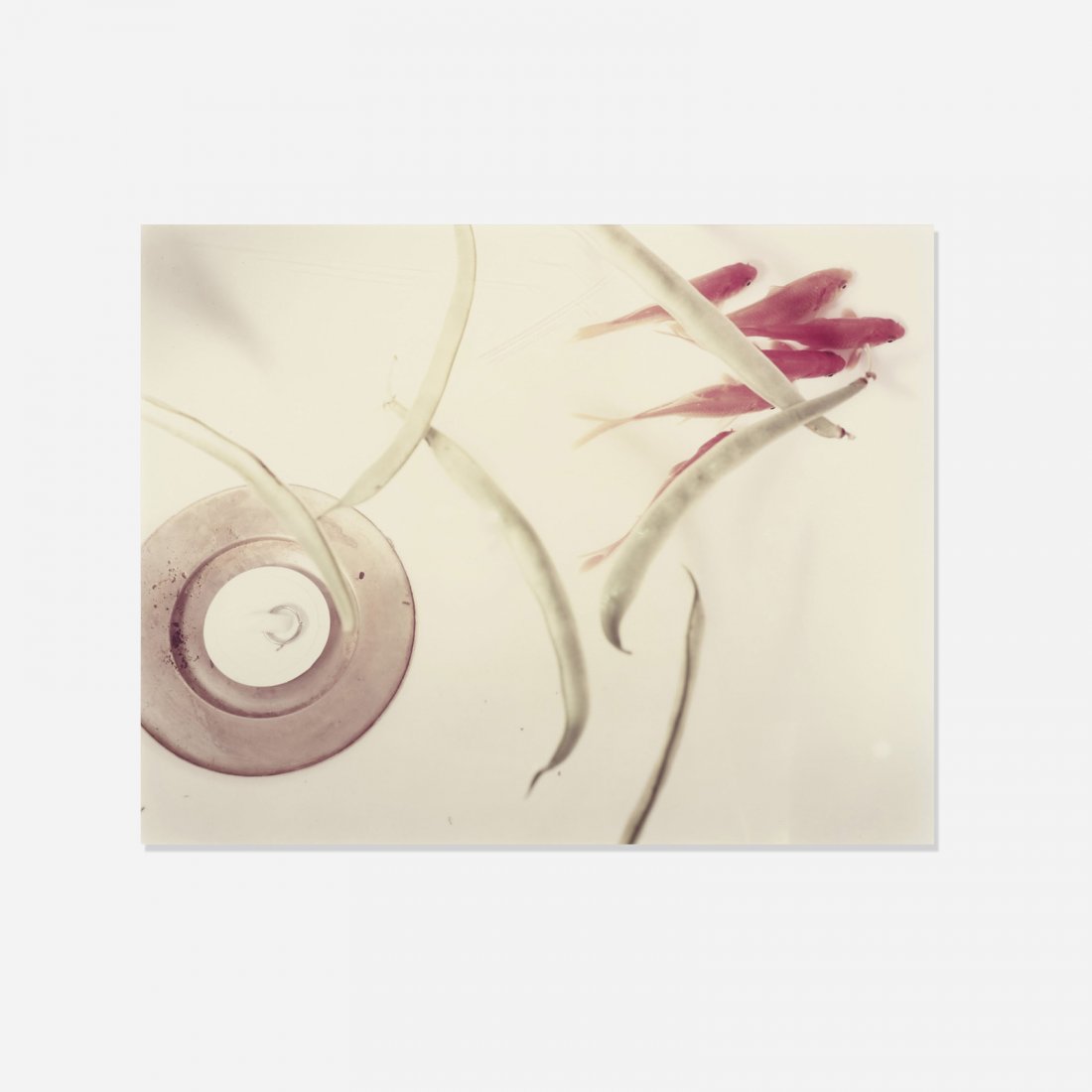 Jo Ann Callis, Goldfish and String Beans (1 of 1)