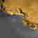 item-49177697=3